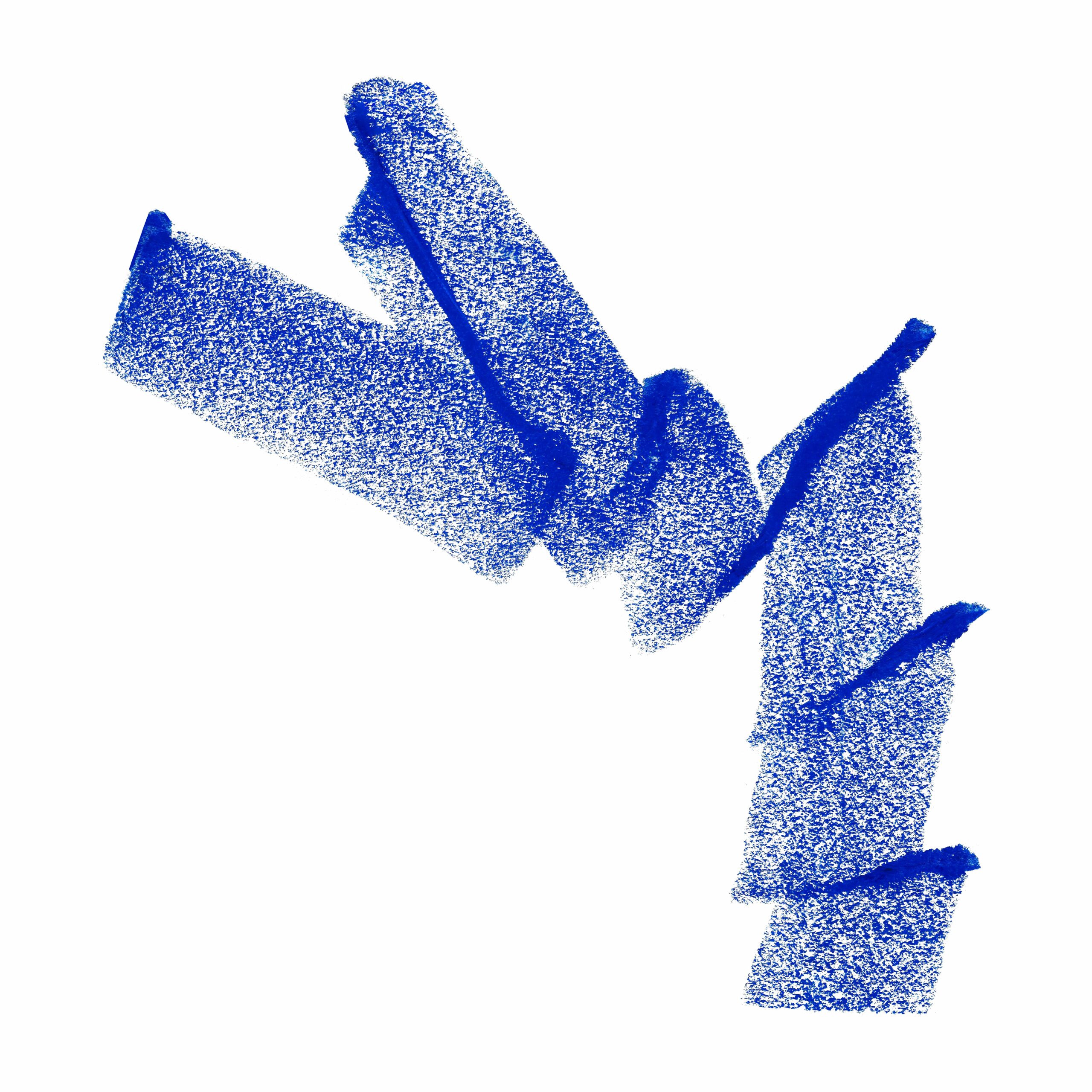 Raga_Logo_Blue_Small Size